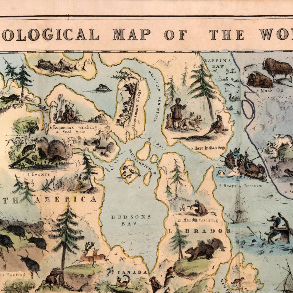 Old Zoological Map of The World 1844 Vintage Poster Animals of the World zoology map | Animal World Map Wall Map Print | Map Gift