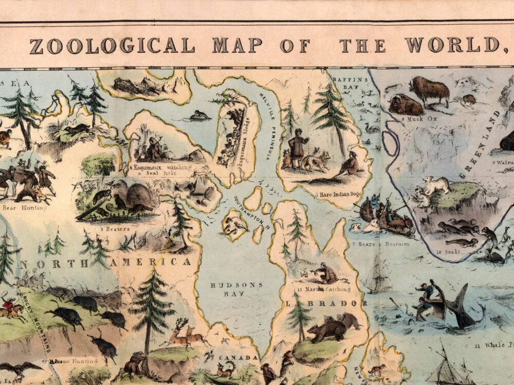 Old Zoological Map of The World 1844 Vintage Poster Animals of the World zoology map | Animal World Map Wall Map Print | Map Gift