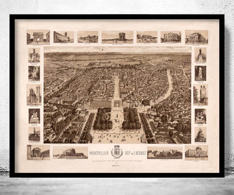 Old Map of Montpellier France 1800 Panoramic View Vintage Map | Vintage Poster Wall Art Print | Wall Map Print | Old Map Print | Map Gift