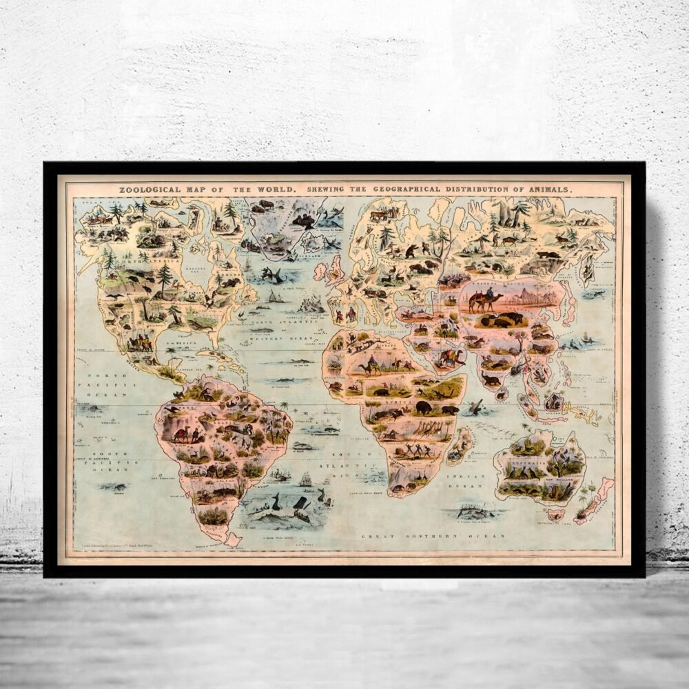 Old Zoological Map of The World 1844 Vintage Poster Animals of the World zoology map | Animal World Map Wall Map Print | Map Gift