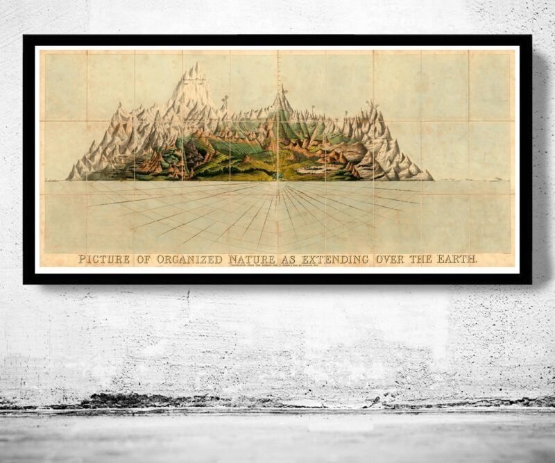 Old Poster Mountains of the World Comparative Heights Chart 1828 Vintage Poster | Vintage Poster Wall Art Print | | Map Gift